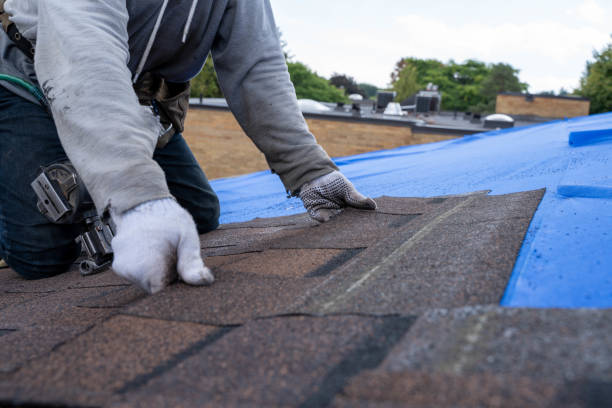 Best Emergency Roof Repair  in Worthington, KY